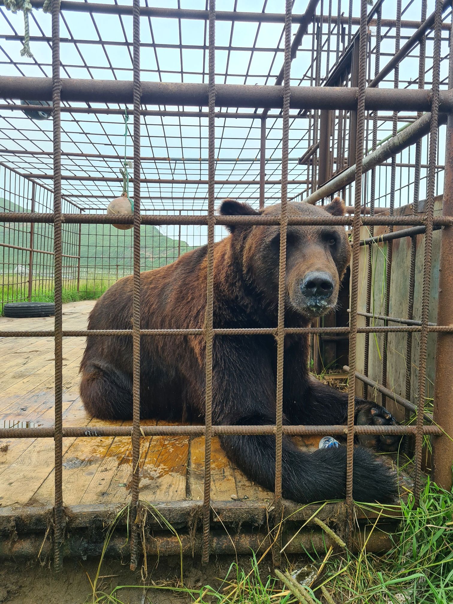 Поездка на мыс Кузнецова